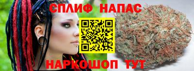 гидра Тверь