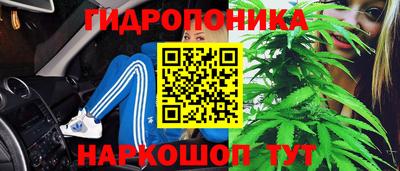 твердый Тара