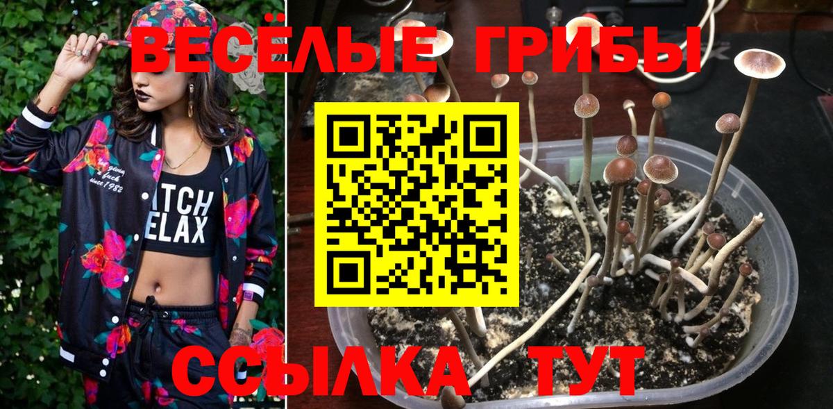 Галлюциногенные грибы ЛСД  Вход с VPN  Мегион 