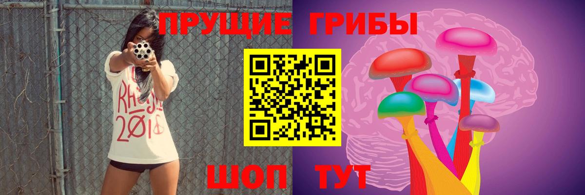 Псилоцибиновые грибы Cubensis Мегион